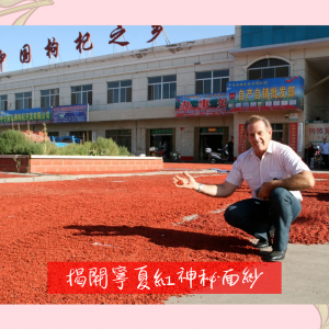 寧夏紅養生工作坊 by Joanne Kan